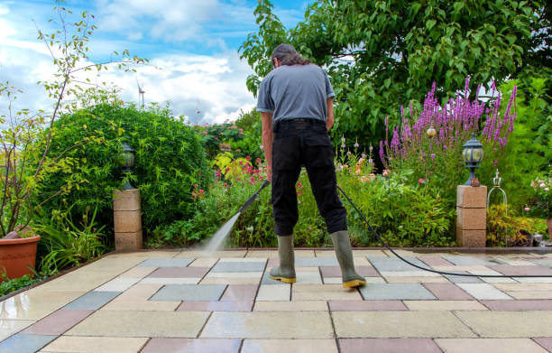 Best Roof Cleaning and Mildew Removal in Jackson, WI